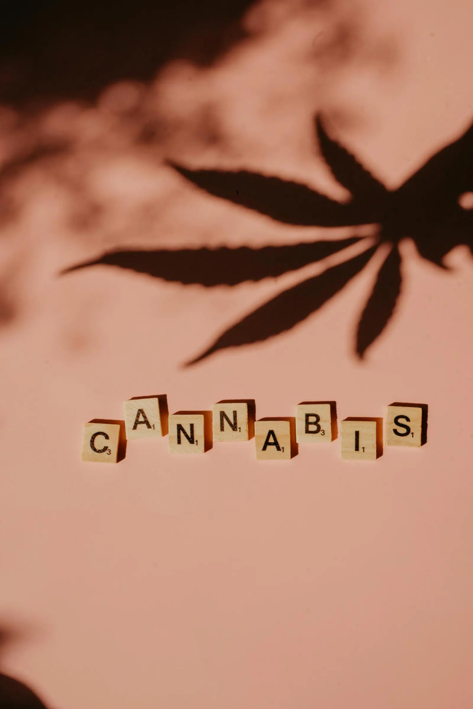 Artistic depiction of the word cannabis using Scrabble tiles and shadows.