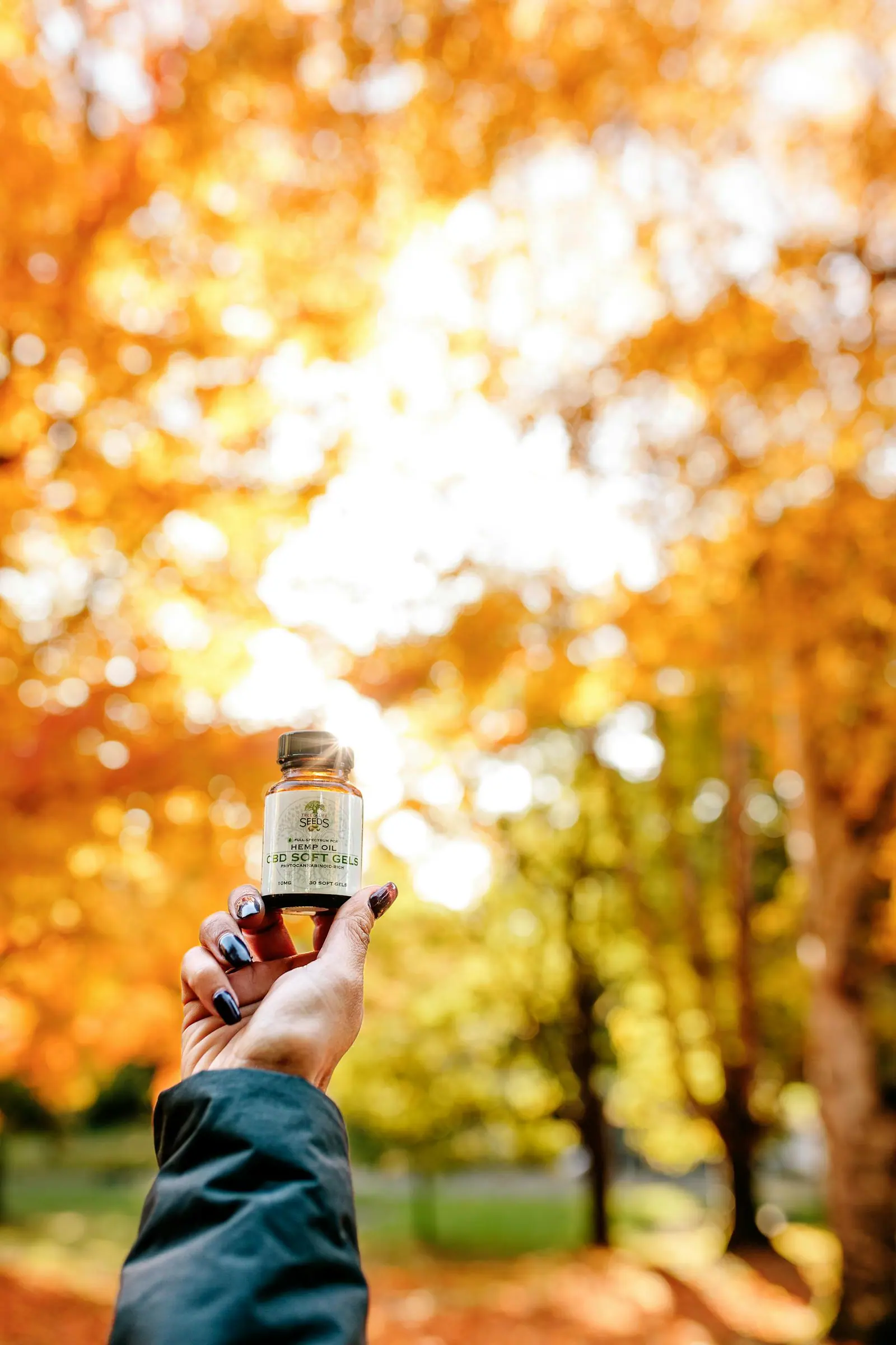 Hand with manicured nails holding cbd oil bottle in fall forest setting